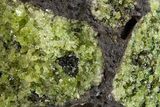 Peridot in Basalt - Arizona #324698-1